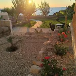 Capo Summer 2 0
