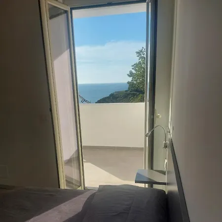 Capo Summer 2 0