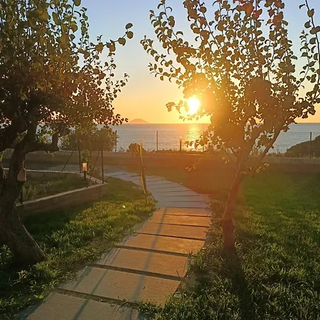 Capo Summer 2 0